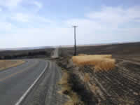 Sun 08 - Crescent Oehlschlaeger Road corner skipped wheat.